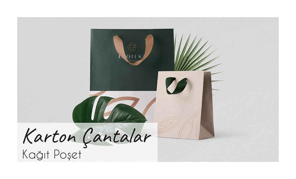 karton-cantalar