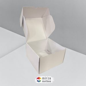 micro-ondule-box-2